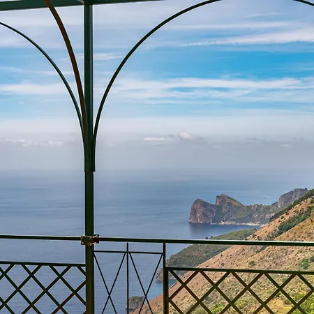 Alfonsina فيلة Torca