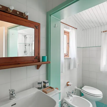 فيلة Alfonsina *