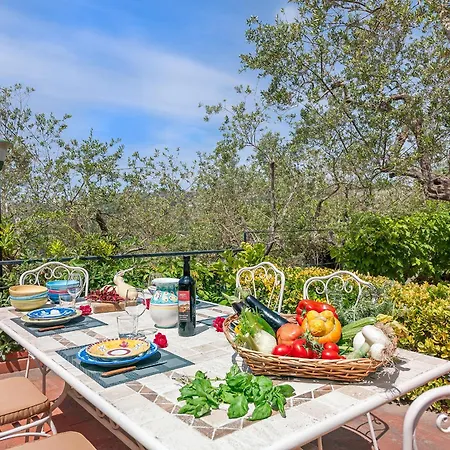 فيلة Alfonsina *